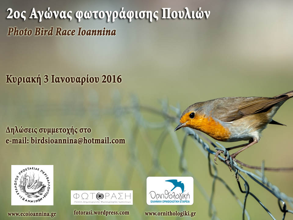 Ioannina photo bird race2016
